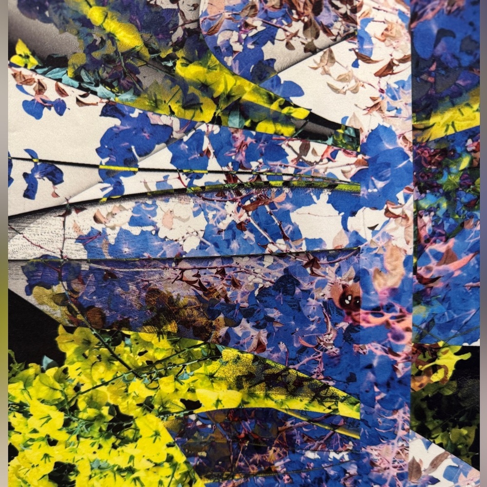 Clover Canyon Space Garden Abstract Floral Neoprene Dress. Sz M. Mint Condition! - Picture 4 of 10